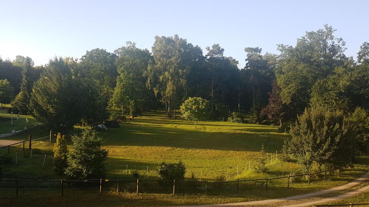 Dat Luette Heidehotel Funk - Garni Bispingen Exteriör bild