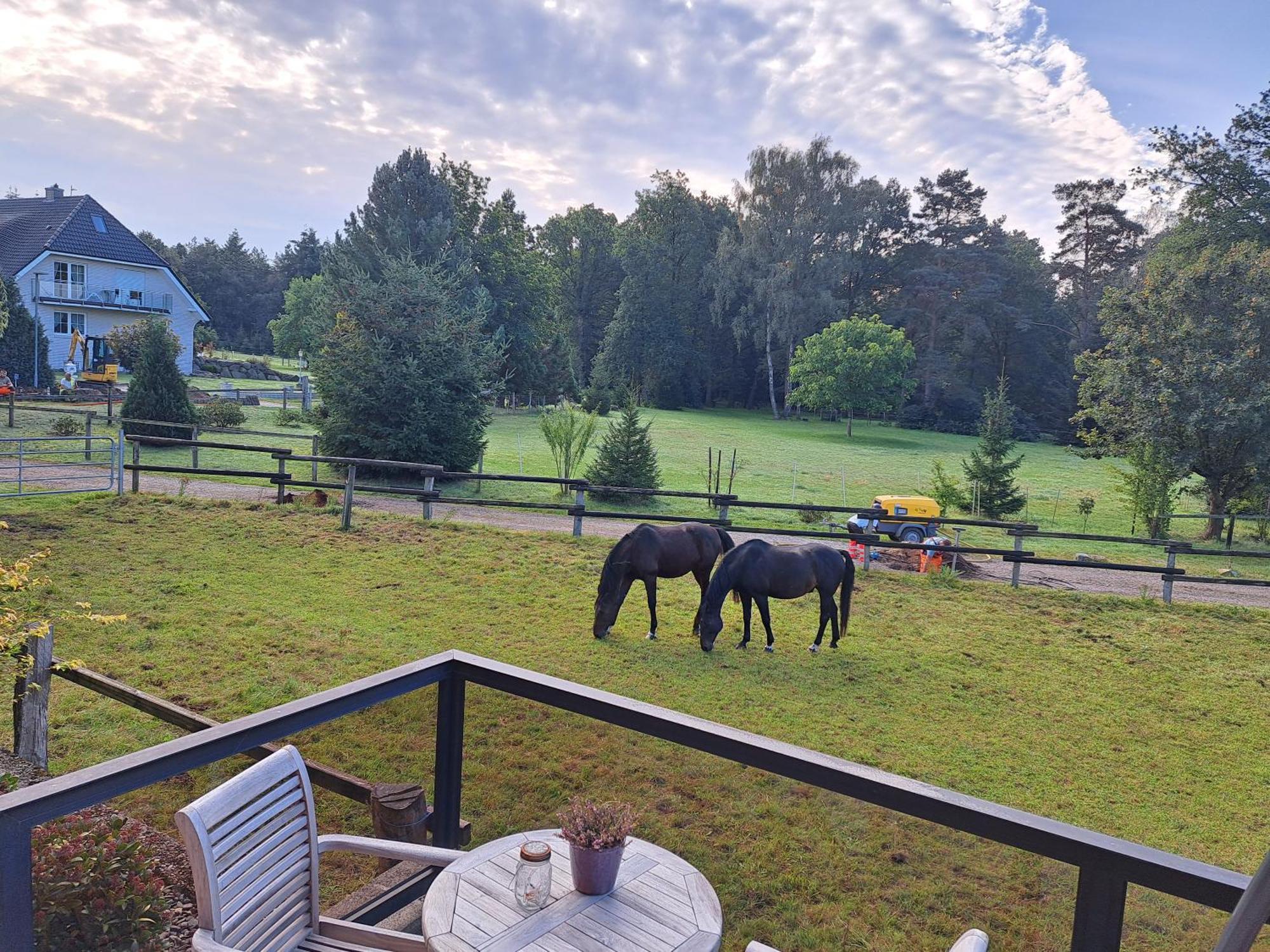 Dat Luette Heidehotel Funk - Garni Bispingen Exteriör bild