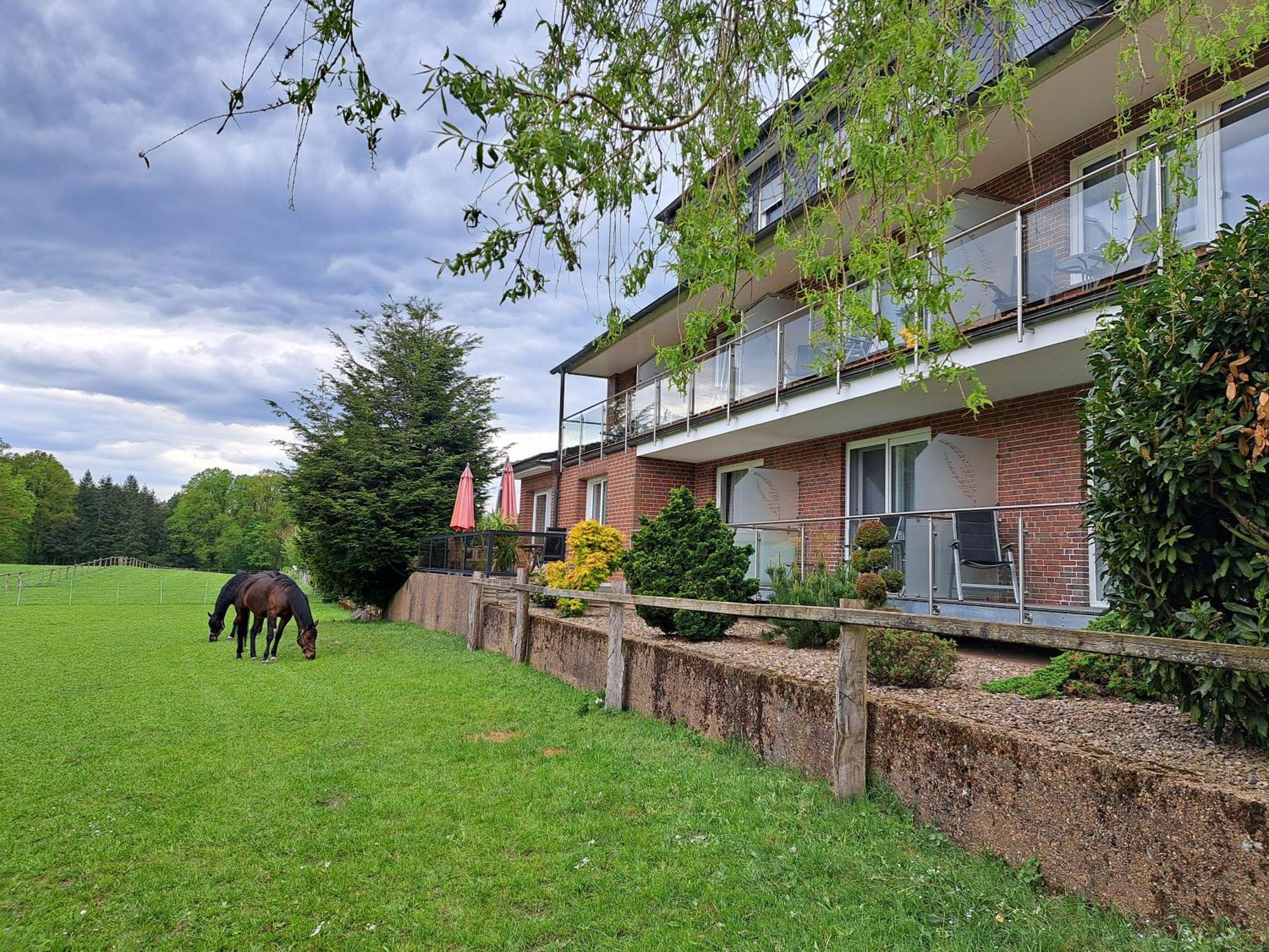 Dat Luette Heidehotel Funk - Garni Bispingen Exteriör bild